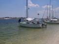 Lindsey Mighty Mite / Newport 20 Sailboat by Lindsey Plastics / Capital Yachts Inc